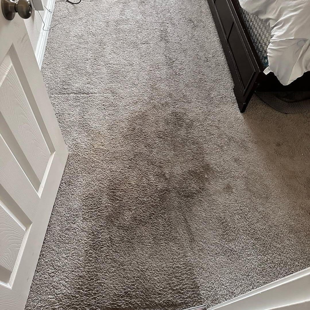 WhatsApp Image 2025-12-05 at 12.22.14 PM (2) WhatsApp Image 2025-12-05 at 12.22.14 PM (2)