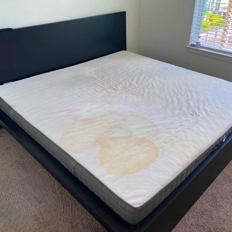 WhatsApp Image 2025-12-05 at 12.22.16 PM (1) Before and after carpet cleaning with heavy traffic lanes removed