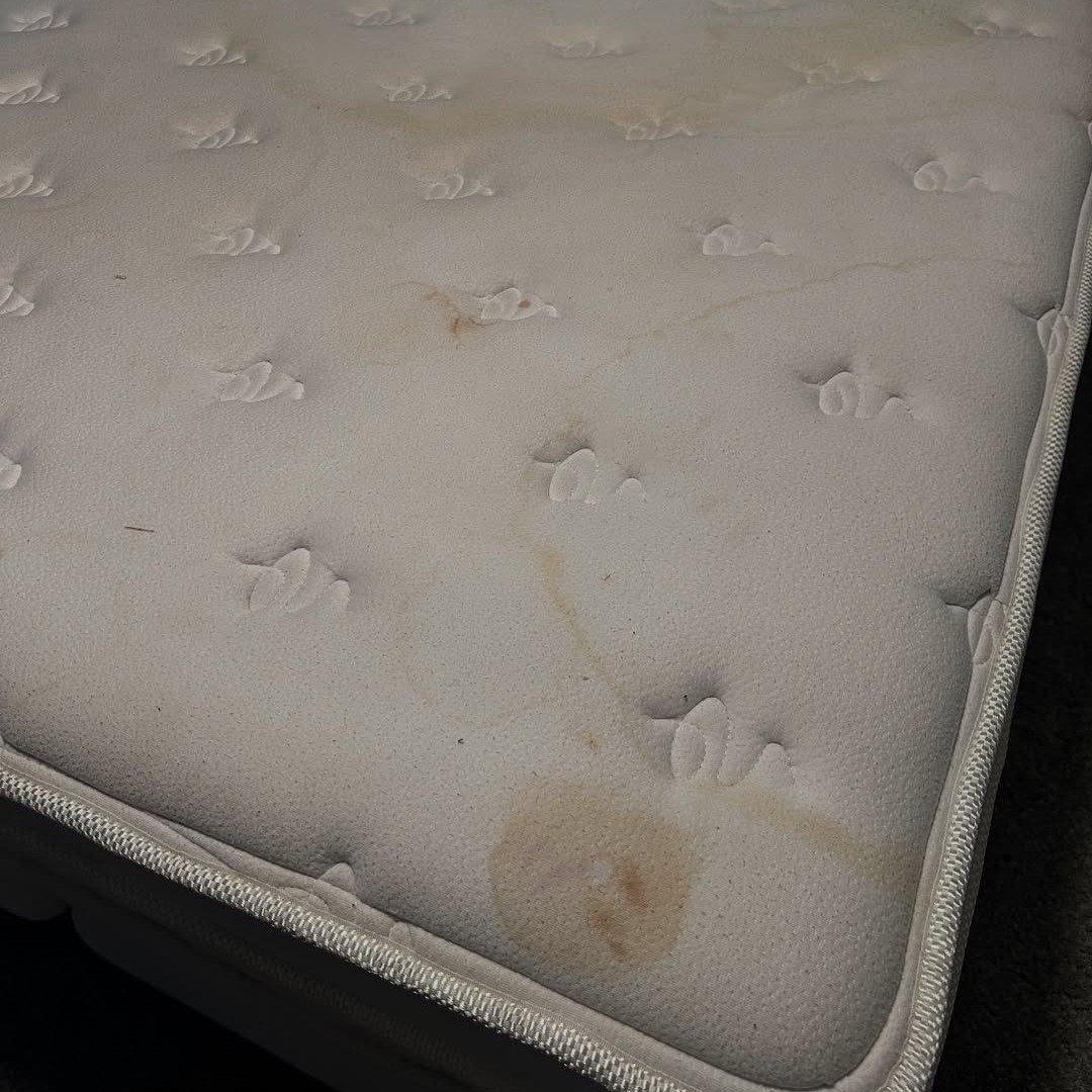 WhatsApp Image 2025-12-05 at 12.22.16 PM (4) WhatsApp Image 2025-12-05 at 12.22.16 PM (4)