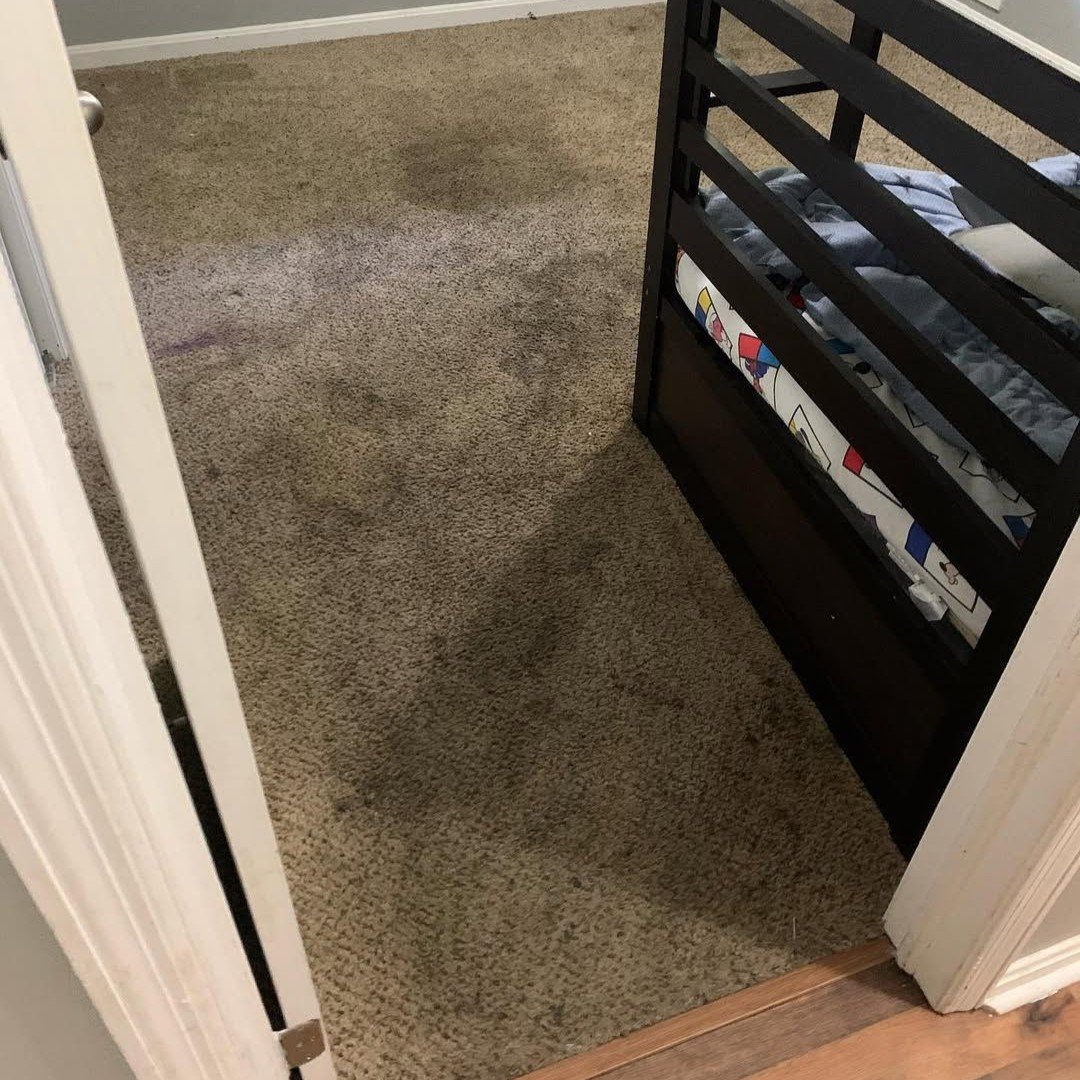 WhatsApp Image 2025-12-05 at 12.22.16 PM (8) WhatsApp Image 2025-12-05 at 12.22.16 PM (8)