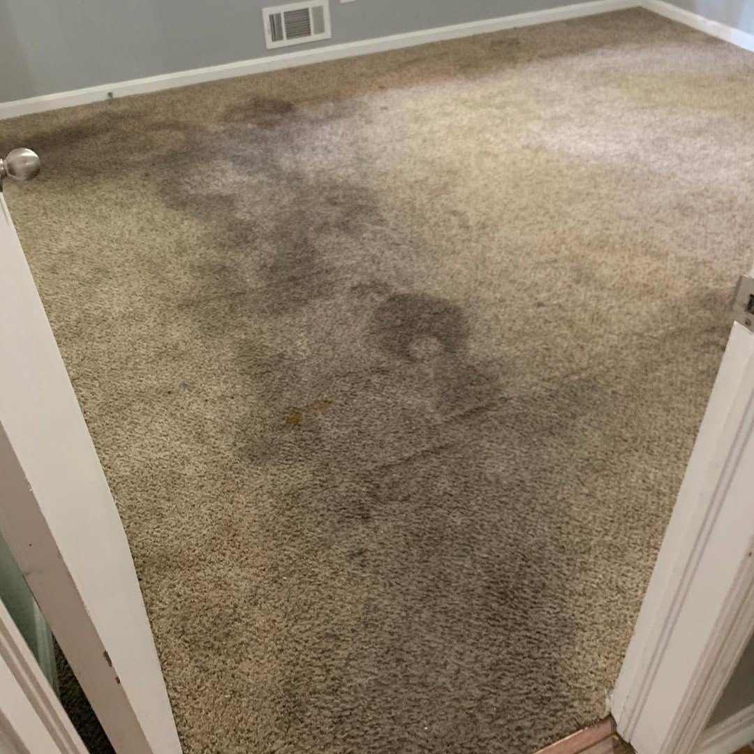 WhatsApp Image 2025-12-05 at 12.22.17 PM (1) WhatsApp Image 2025-12-05 at 12.22.17 PM (1)